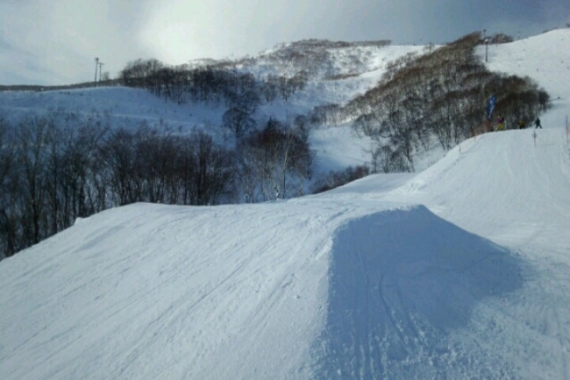 d0190142_1859936.jpg