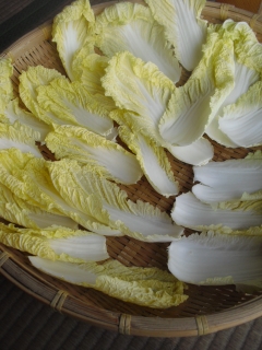 f0009451_16384255.jpg