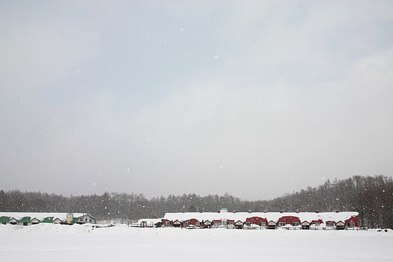 b0250154_2355611.jpg