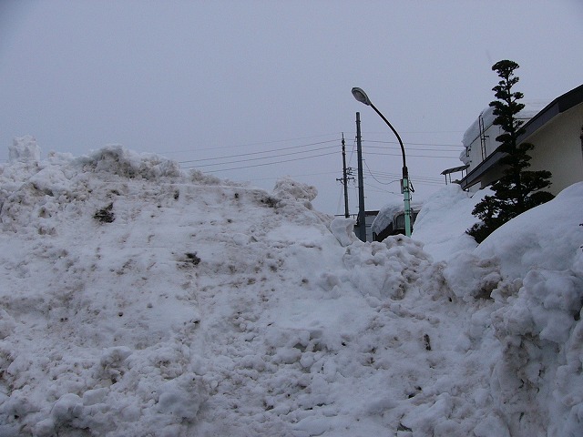 b0218664_8483950.jpg
