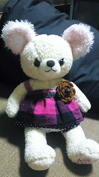 b0091866_2044541.jpg