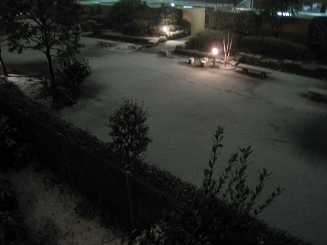 d0168669_2353825.jpg