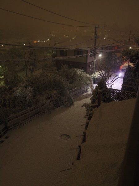 c0122670_2157465.jpg
