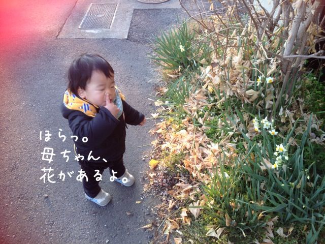 f0159270_10202448.jpg