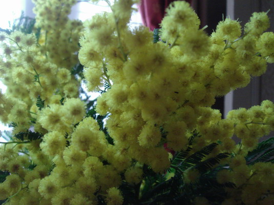 a0247585_1143110.jpg