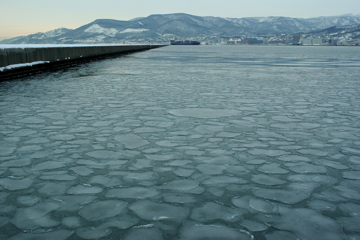 e0051186_200917.jpg