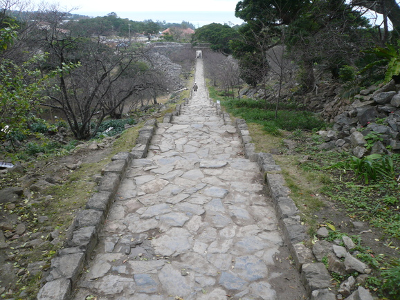 a0147890_115309.jpg