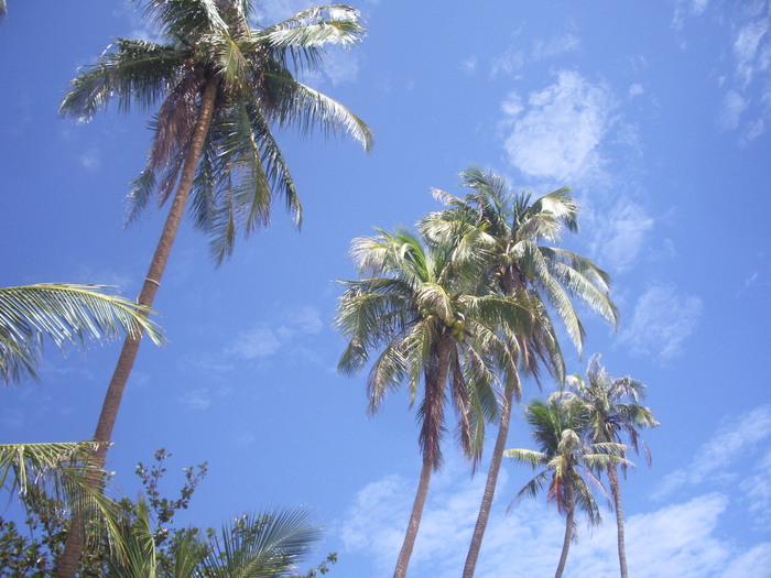 e0185092_20161838.jpg