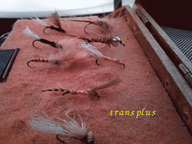 b0031493_21151543.gif