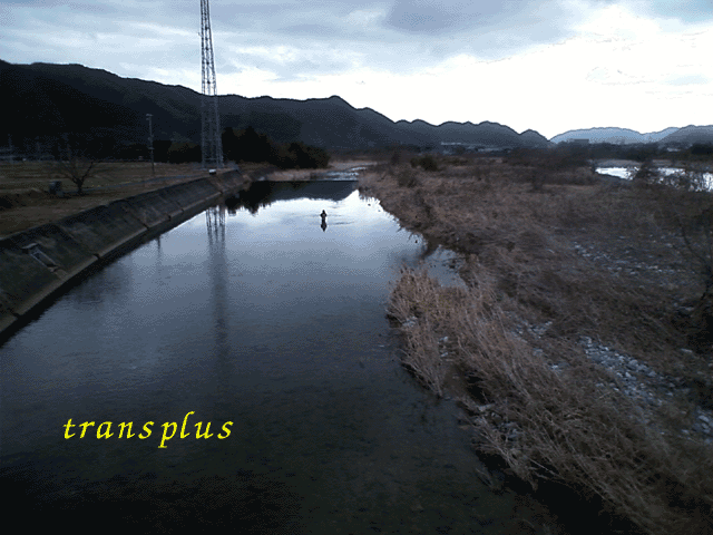 b0031493_2132836.gif