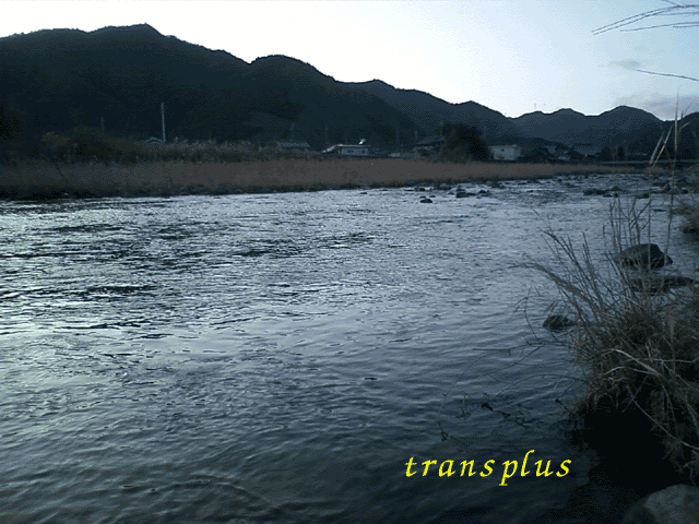 b0031493_2181385.gif