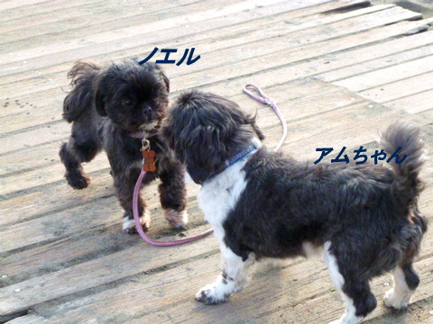 f0137694_0145397.jpg