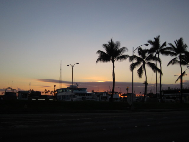d0098295_17333634.jpg