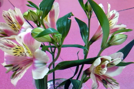 f0008597_20392495.jpg