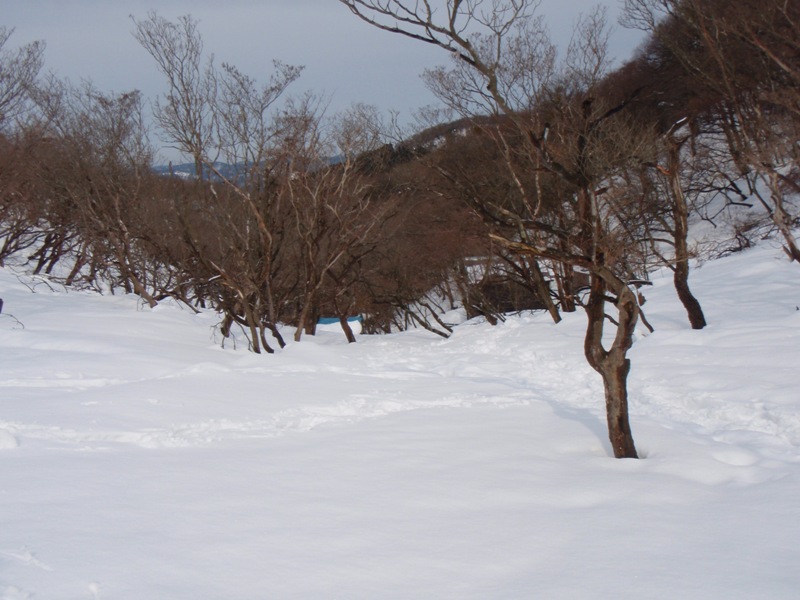 b0039898_1112983.jpg