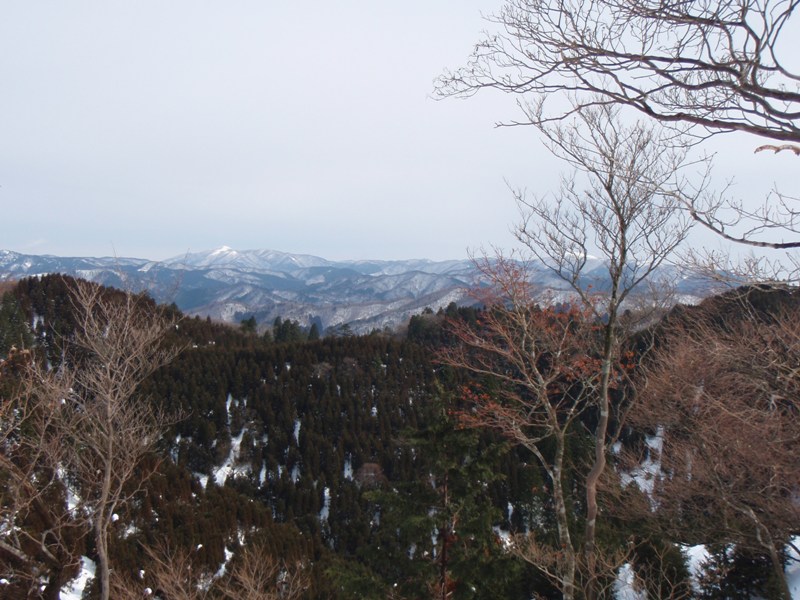 b0039898_111425.jpg