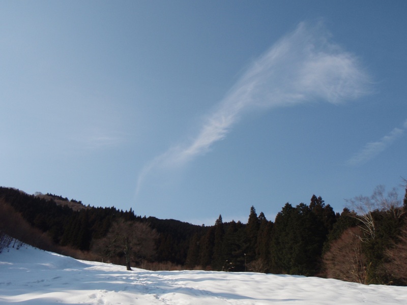 b0039898_1124352.jpg