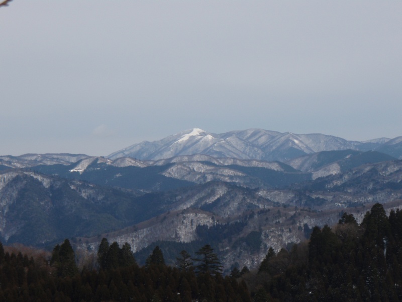 b0039898_12441660.jpg