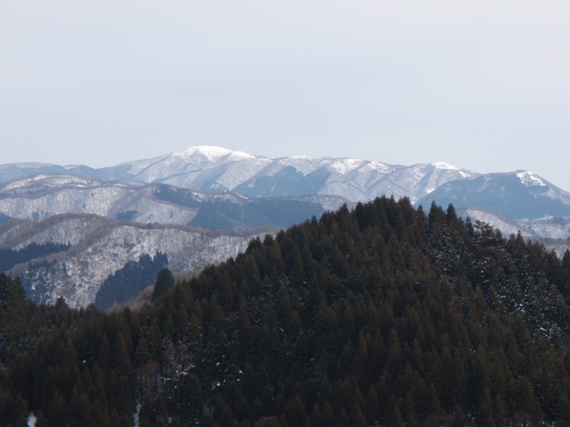 b0039898_12443481.jpg