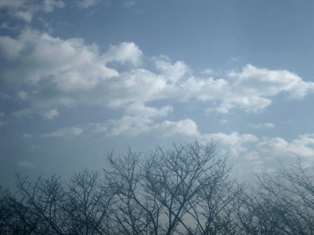 f0236201_849763.jpg