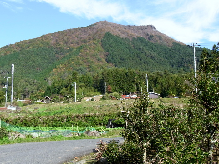 c0197004_15353518.jpg
