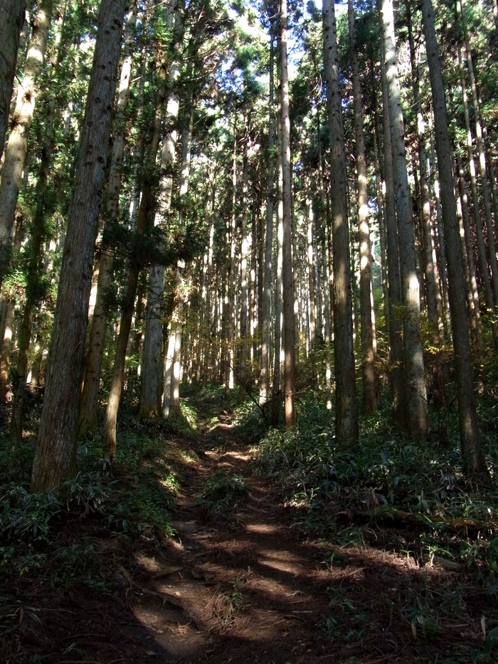c0197004_15362420.jpg