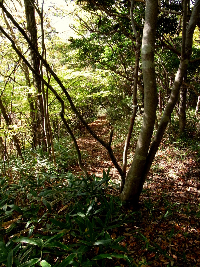 c0197004_15364088.jpg