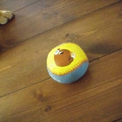 e0232505_23131529.gif