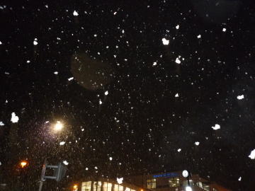 e0070606_203154.jpg