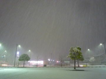 e0070606_21531.jpg