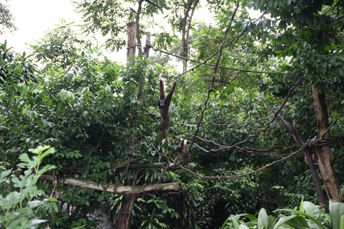 a0233910_7545090.jpg