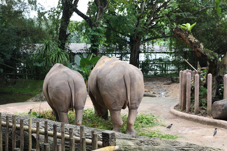 a0233910_757322.jpg