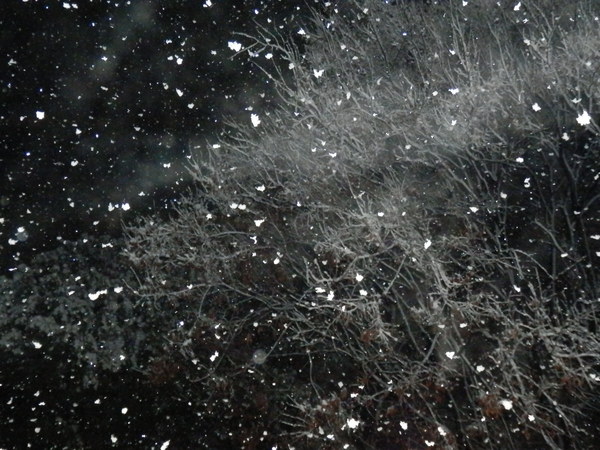 b0061010_16224399.jpg