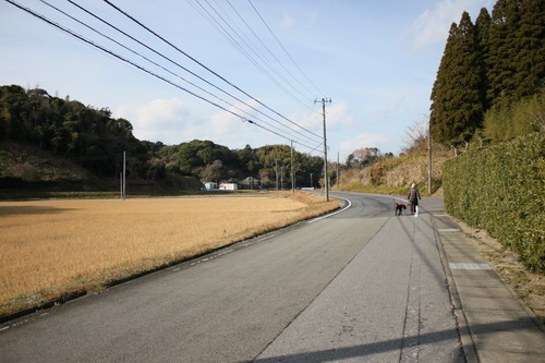 c0101713_1218596.jpg