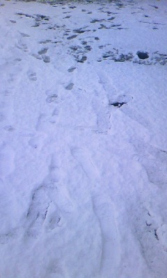 d0024220_14212924.jpg