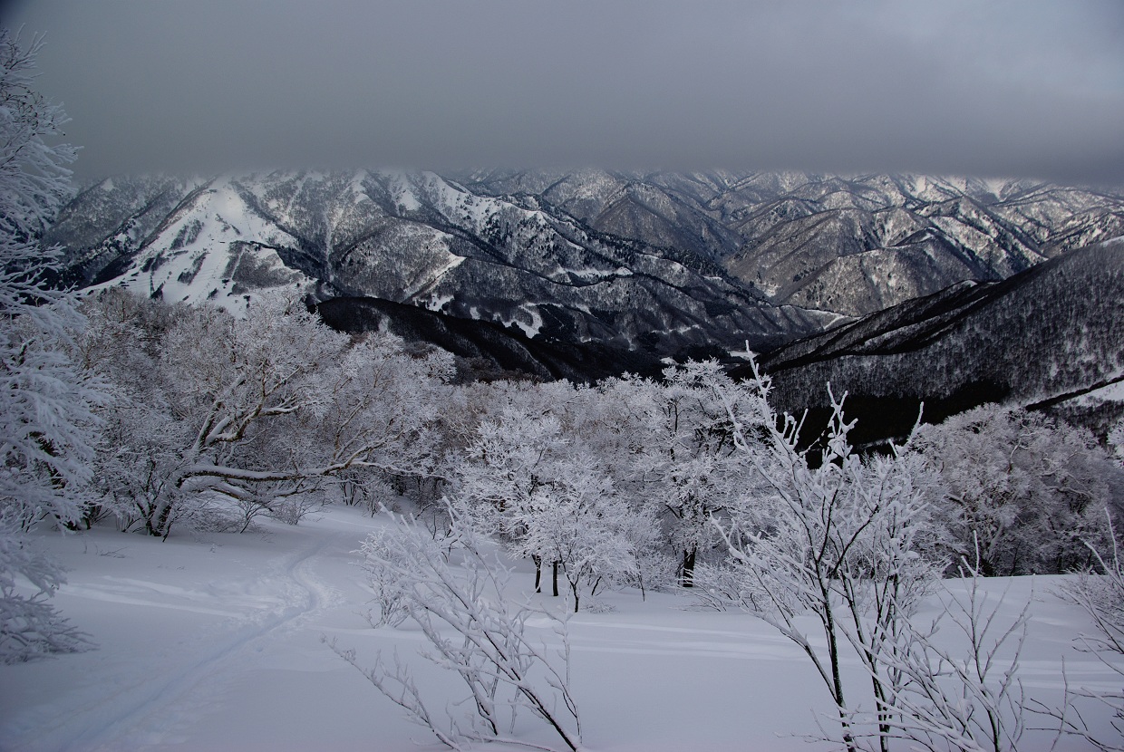 b0062024_7105889.jpg