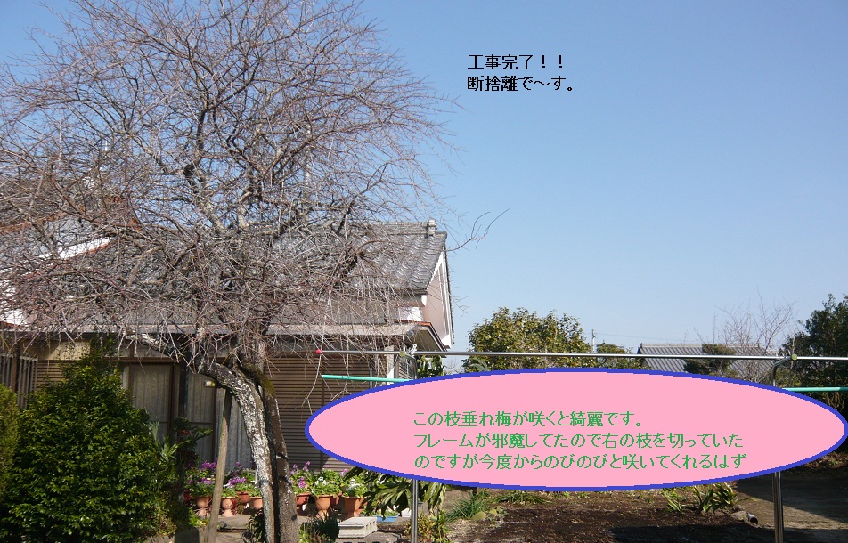 a0206332_11505196.jpg