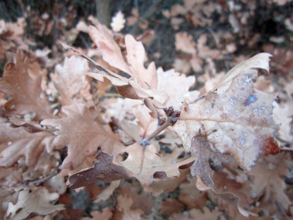 f0234936_047387.jpg