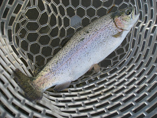 f0065341_10292073.jpg