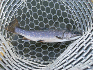 f0065341_10294439.jpg