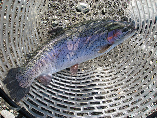 f0065341_10331075.jpg