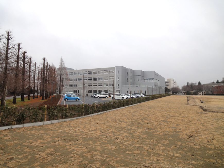 e0114543_042353.jpg