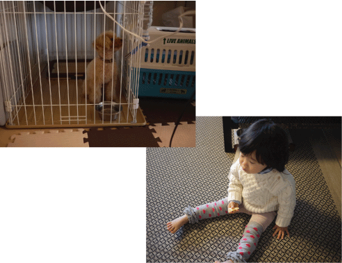 b0182846_17284377.gif