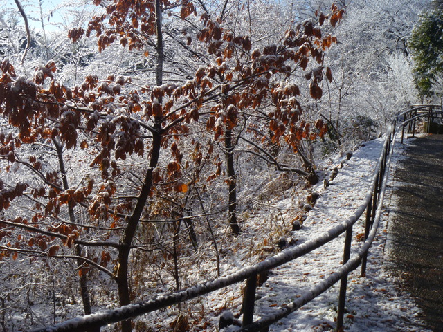 e0121548_11174196.jpg