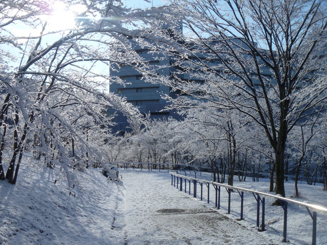 e0121548_11214237.jpg