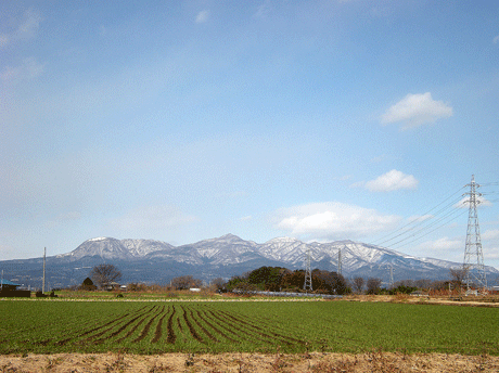 a0001354_18394947.gif