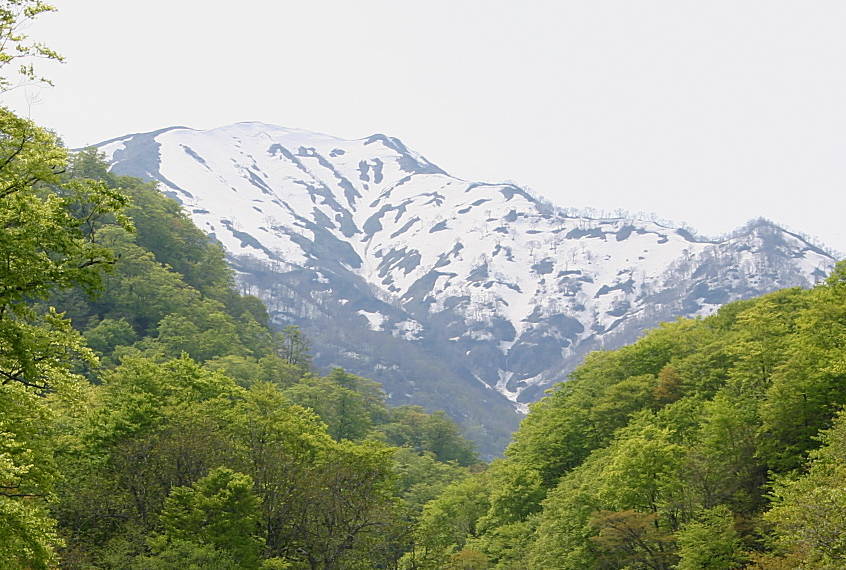 b0250154_21404478.jpg