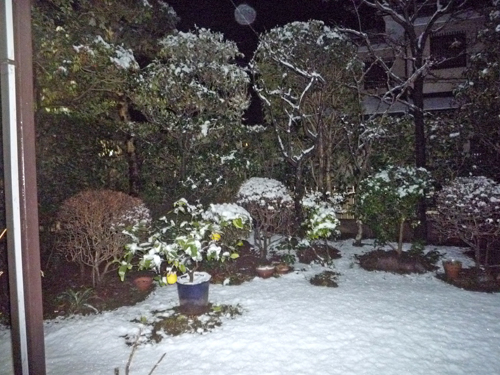 b0045357_1026562.jpg