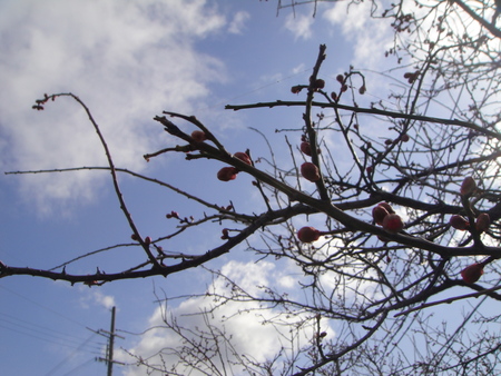 c0108460_13513327.jpg