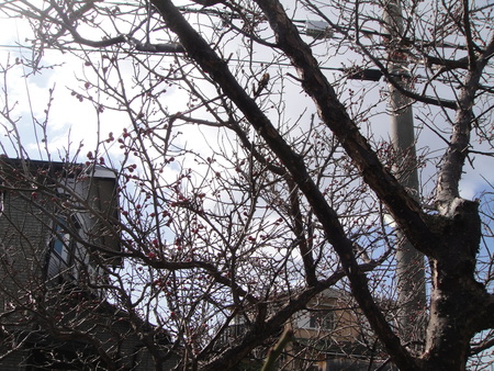 c0108460_1352192.jpg